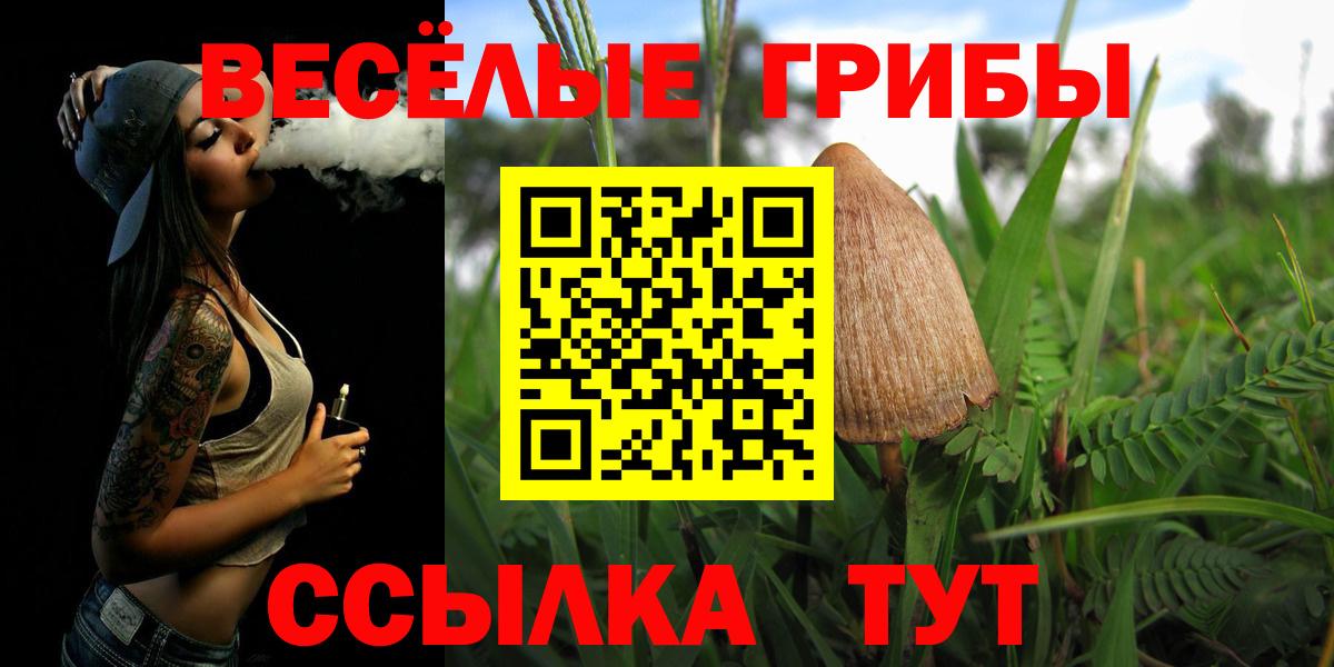 Псилоцибиновые грибы MAGIC MUSHROOMS  Вход с VPN  Чапаевск  Псилоцибиновые грибы мицелий 